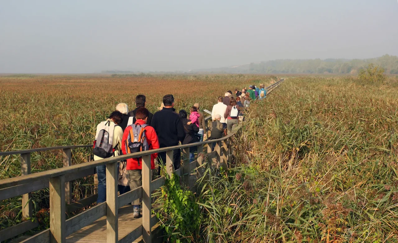 Sortie groupe estuaire de la Seine Sortie groupe estuaire de la Seine